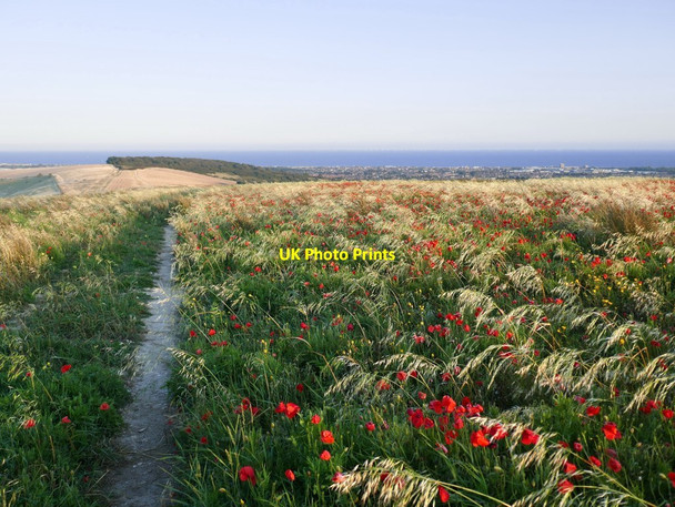Photo 6"x4" At the top of Steep Down Beggars Bush\/TQ1607 c2019