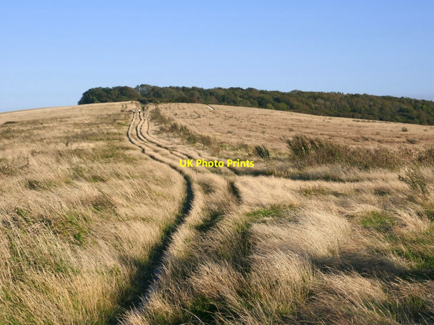 Photo 6"x4" Track through setaside to Lancing Ring Beggars Bush\/TQ1607 c2019
