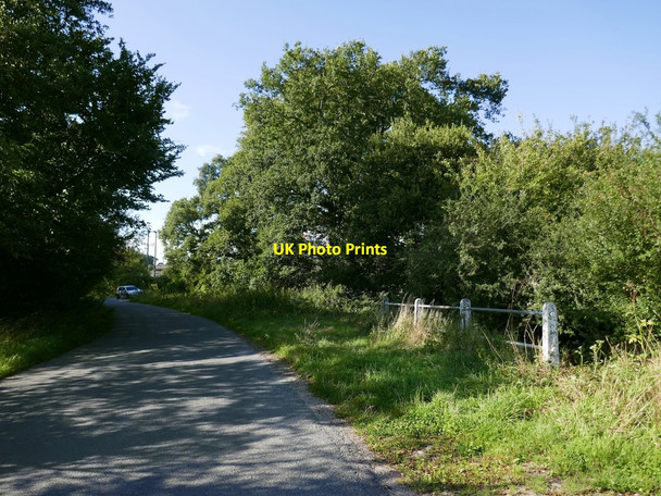 Photo 6"x4" Honey Bridge Ashurst\/TQ1716 c2019
