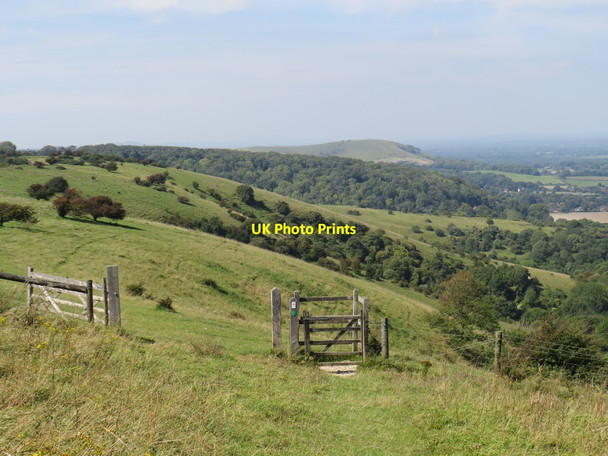 Photo 6"x4" Gate on the South Downs, near Ditchling Beacon Westmeston c2019