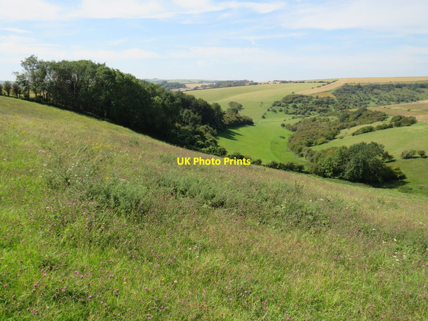 Photo 6"x4" North Bottom, near Brighton Stanmer c2019