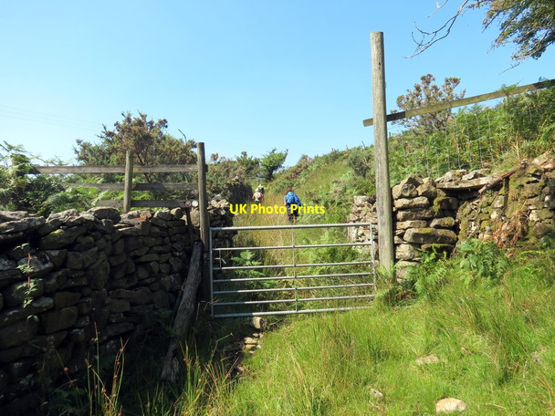 Photo 6"x4" Llwybr Ceffyl Fforch-wen \/ Fforch-wen Bridleway Pontycymer c2019