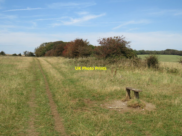 Photo 6"x4" Path and seat on the South Downs near Brighton Stanmer c2019