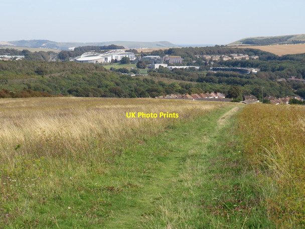 Photo 6"x4" Wild Park, near Hollingbury, Brighton Brighton\/TQ3106 c2019