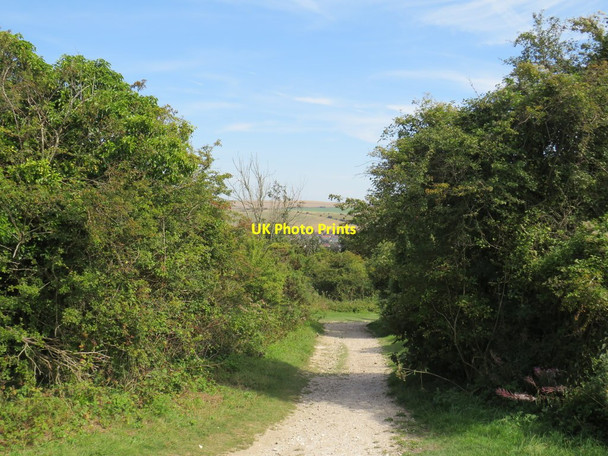 Photo 6"x4" Path near Brighton Brighton\/TQ3106 c2019