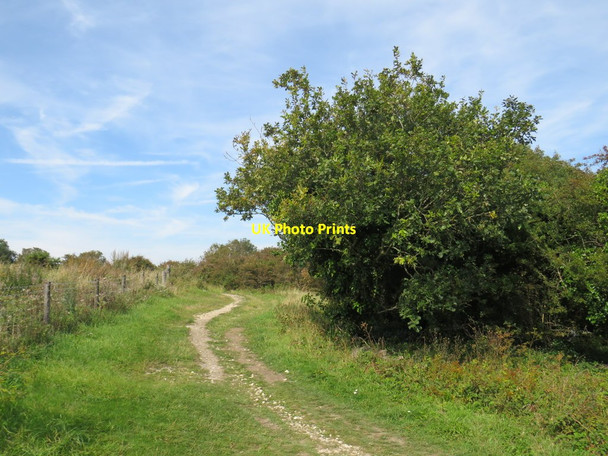 Photo 6"x4" Path near Brighton Brighton\/TQ3106 c2019 P1