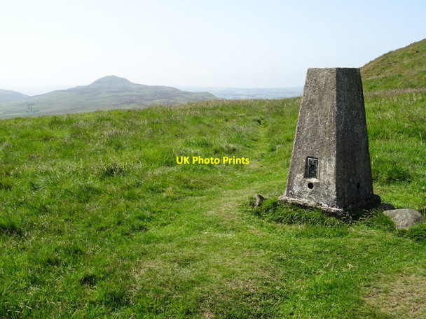 Photo 6"x4" Trig point on East Lomond Falkland c2019