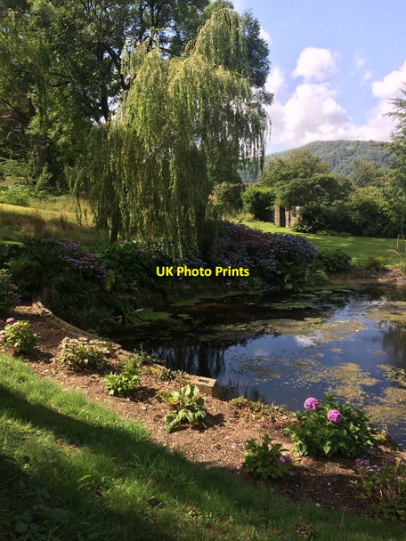 Photo 6"x4" Relax by a pond at Maenan Hall Brynmorfudd c2019