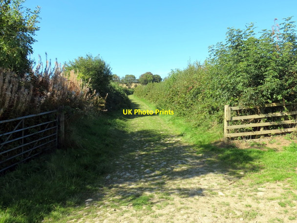 Photo 6"x4" Llwybr ceffyl wrth ymyl Maes Sied \/ Bridleway at Maes Sied Coed-y-bryn c2019