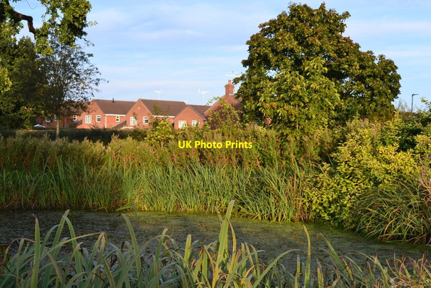 Photo 6"x4" Pond beside Coppenhall Lane Marshfield Bank c2019