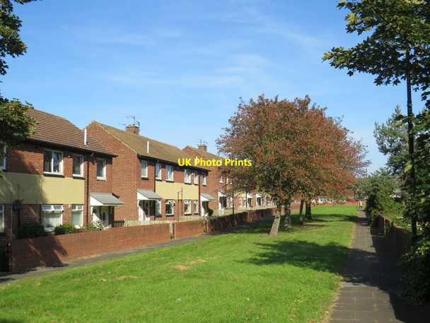Photo 6"x4" Housing at Hedworth, near Jarrow Hebburn c2019