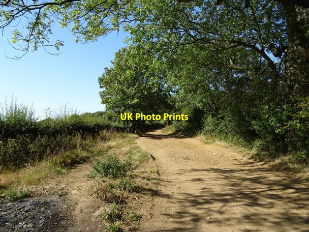 Photo 6"x4" Bridleway towards Oxford Blenheim\/SP5705 c2019
