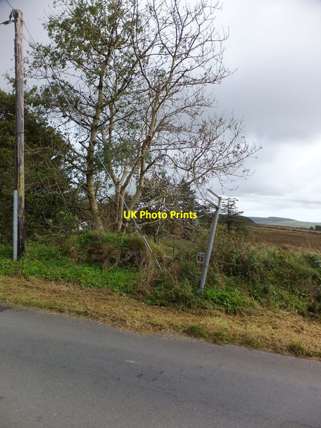 Photo 6"x4" Footpath to Stoney Mountain Plantation Ballamodha c2019