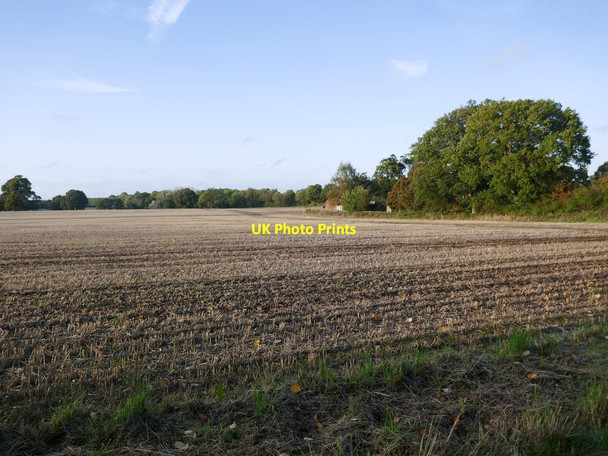 Photo 6"x4" Farmland west of Partridge Green Bines Green c2019