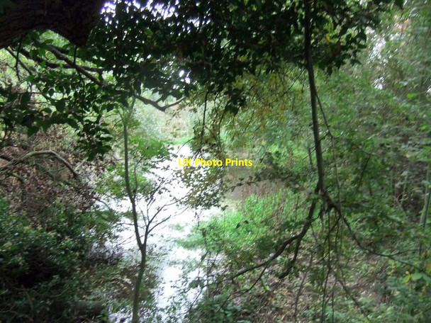 Photo 6"x4" Pond near 'Holy Well' Low Burnham c2019