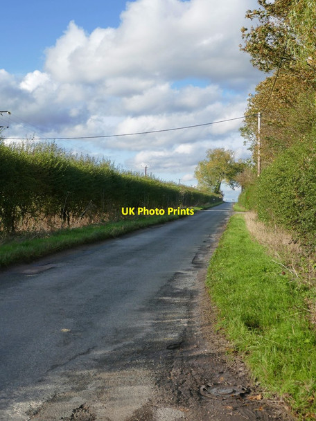 Photo 6"x4" The road to the Wittenhams Little Wittenham c2019