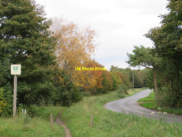 Photo 6"x4" Chelsham Common, near Warlingham Warlingham c2019