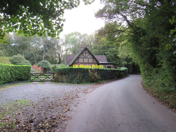 Photo 6"x4" Church Lane, near Warlingham Chelsham c2019