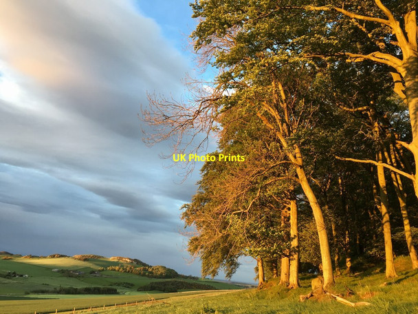 Photo 6"x4" Foodie Hill at sunset Foodieash c2019