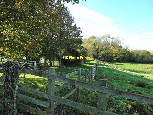 Photo 6"x4" Embankment at the bottom of fish pond Chesterton\/SP3558 c2019