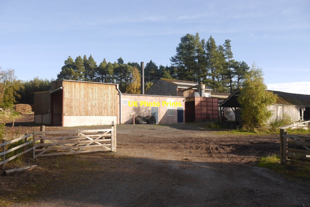 Photo 6"x4" Bowmont Sawmill Heiton c2019