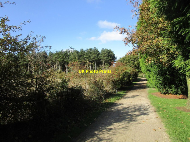 Photo 6"x4" Bridleway, Crow Wood Hill East Leake c2019