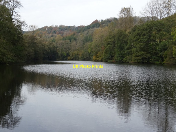 Photo 6"x4" Middle Pond, Woodchester Park Nailsworth c2019