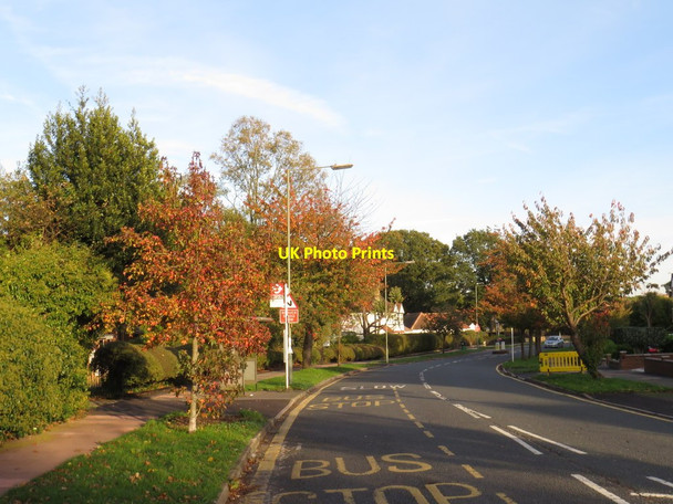 Photo 6"x4" The Avenue, West Wickham Park Langley c2019