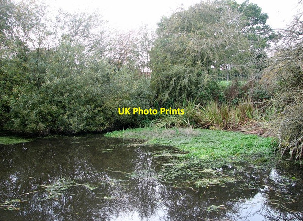 Photo 6"x4" Pond adjacent to the Poringland Community Centre Poringland c2019