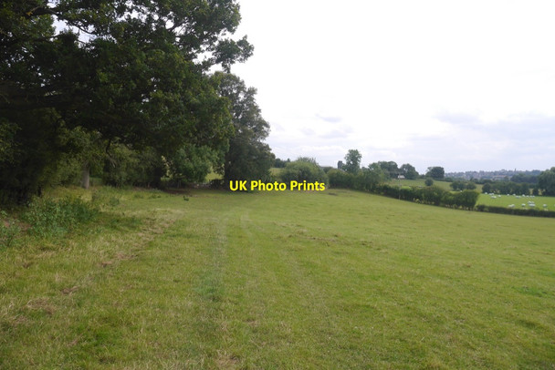 Photo 6"x4" Fields near Buckenhill Manor Edwyn Ralph c2019