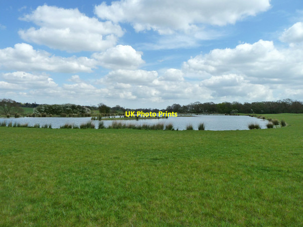 Photo 6"x4" Ponds near Carvers Farm Laindon c2013
