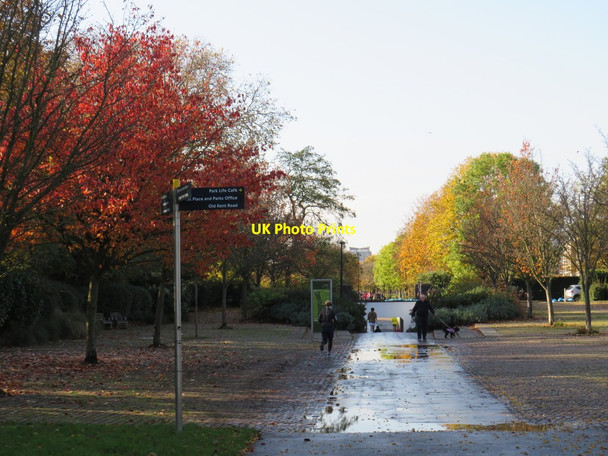 Photo 6"x4" Autumn colour in Burgess Park, near Camberwell Camberwell c2019