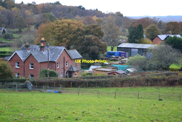 Photo 6"x4" View over Blissford Blissford c2019