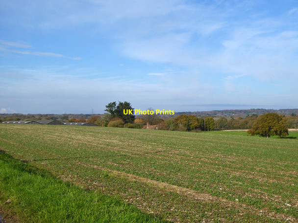 Photo 6"x4" View towards Manor Farm, Boarhunt Boarhunt c2019