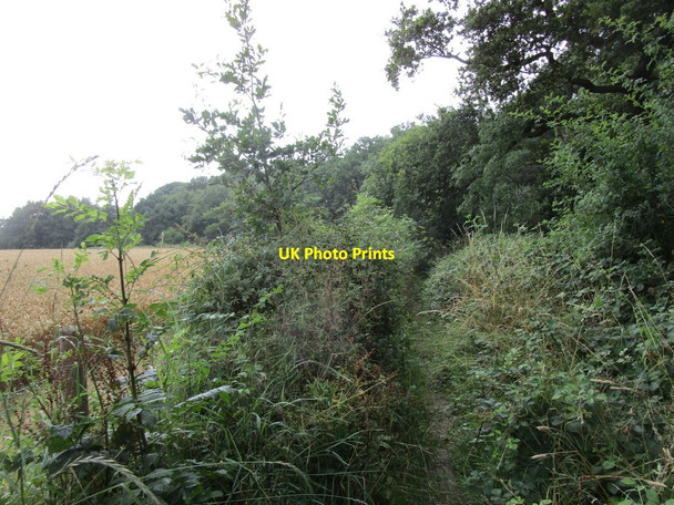 Photo 6"x4" Footpath to King's Cliffe Apethorpe c2019