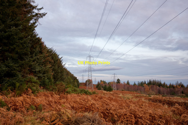 Photo 6"x4" Pylon corridor through the Novar woodlands Evanton\/Baile-Eoghain c2019
