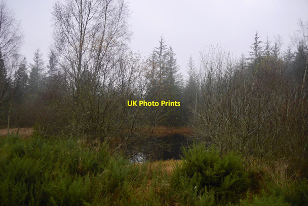 Photo 6"x4" Pond, Keillour Forest Braegrum c2019