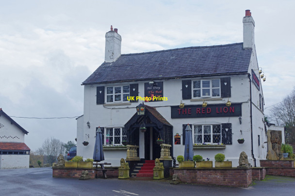 Photo 6"x4" The Red Lion, Goostrey Goostrey c2019