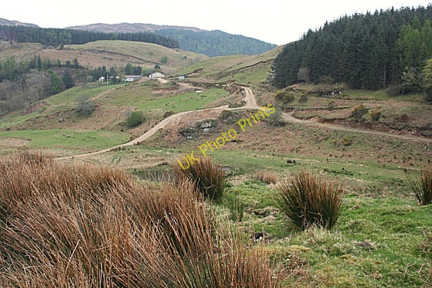 Photo 6"x4" Arduaine Farm Arduaine c2009
