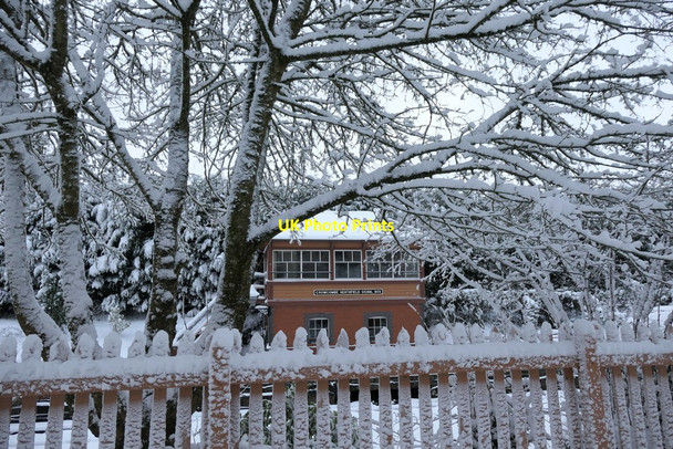 Photo 6"x4" Snow at Crowcombe Heathfield Coursley c2019