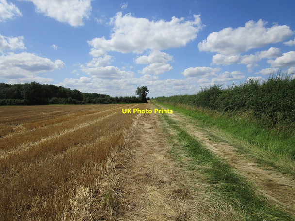 Photo 6"x4" Bridleway and a stubble field Weldon\/SP9289 c2019