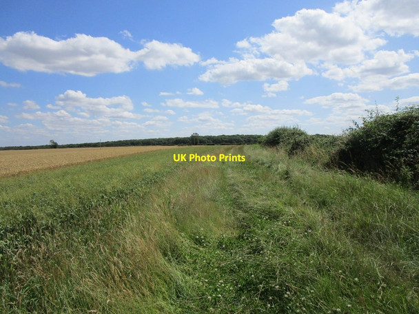 Photo 6"x4" Bridleway to Benefield Road Deenethorpe c2019