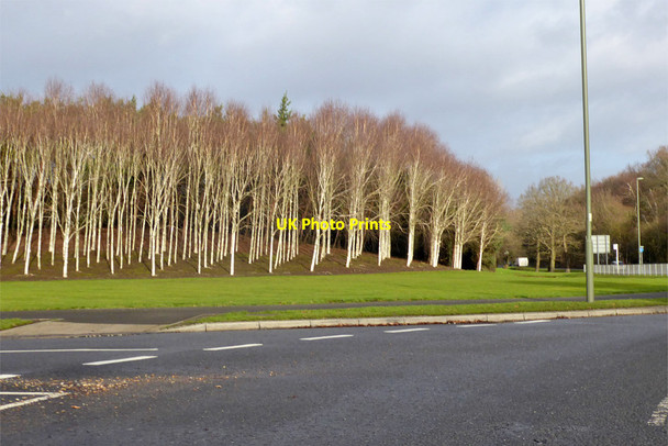 Photo 6"x4" Plantation by McLaren Technology Centre roundabout Sheerwater\/TQ0260 c2019