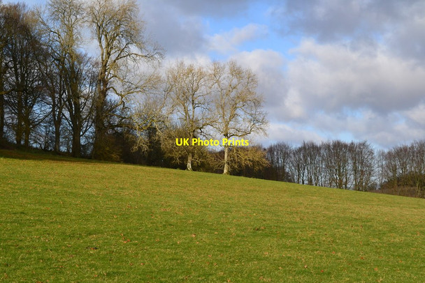 Photo 6"x4" Sloping field above the footpath, near Kilmeston Manor Kilmeston c2019