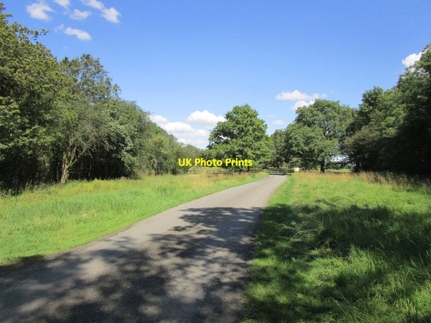 Photo 6"x4" Bridleway near Bushylawn Lodge Brigstock c2019