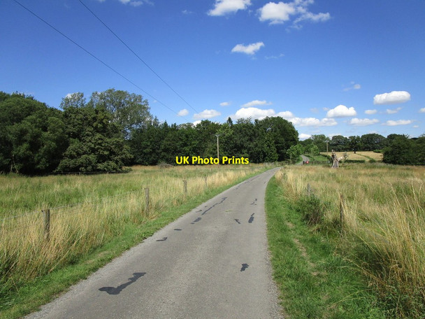 Photo 6"x4" Bridleway through the Deer Park, Fermyn Woods Hall Brigstock c2019