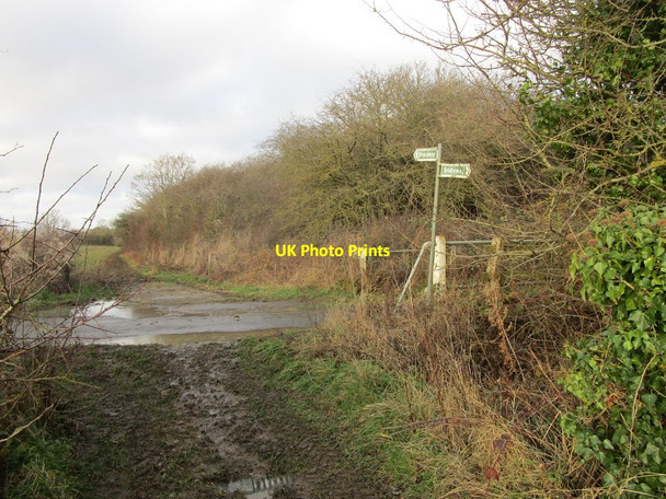 Photo 6"x4" Bridleway crossing the road from Eydon to Preston Capes Eydon c2019