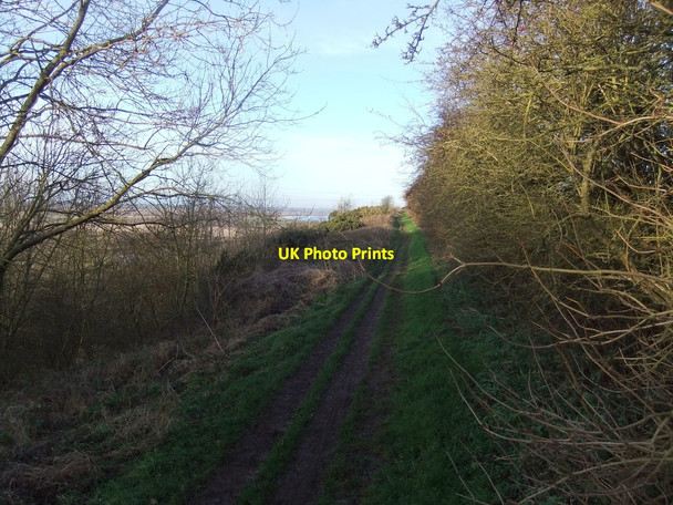 Photo 6"x4" Path above The Cliff Burton Stather c2019