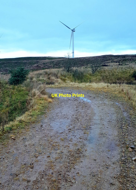 Photo 6"x4" Turbine on the Dungavel Wind Farm Side Hill c2019