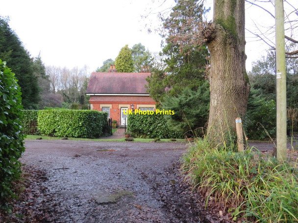 Photo 6"x4" Footpath on driveway near East Grinstead East Grinstead c2019